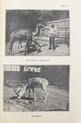 Шарлемань Э. Каталог Киевского зоологического сада / Киевское общество любителей природы. Киев, 1911.